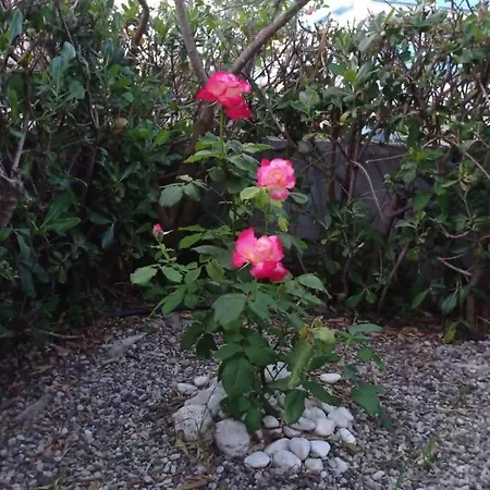 With Gardens Apartment