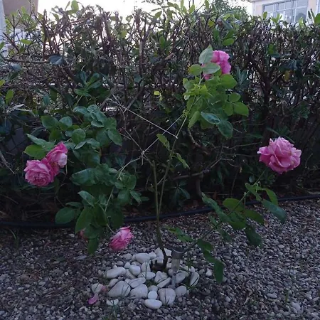 With Gardens Apartment