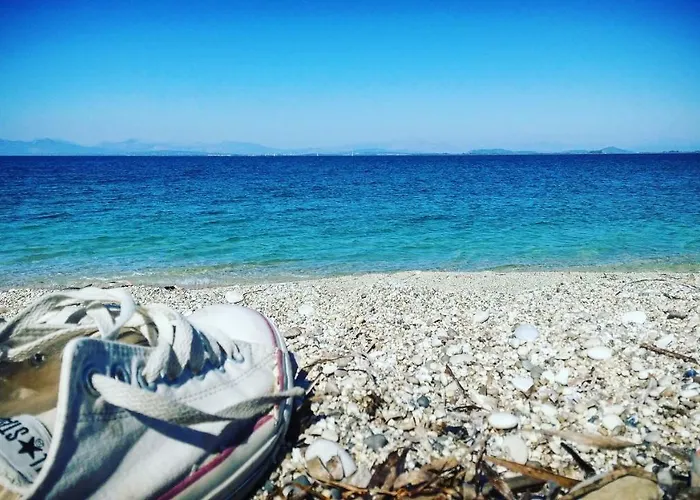 Daire With Gardens *